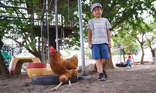 動物とのふれあいで豊かな感性を