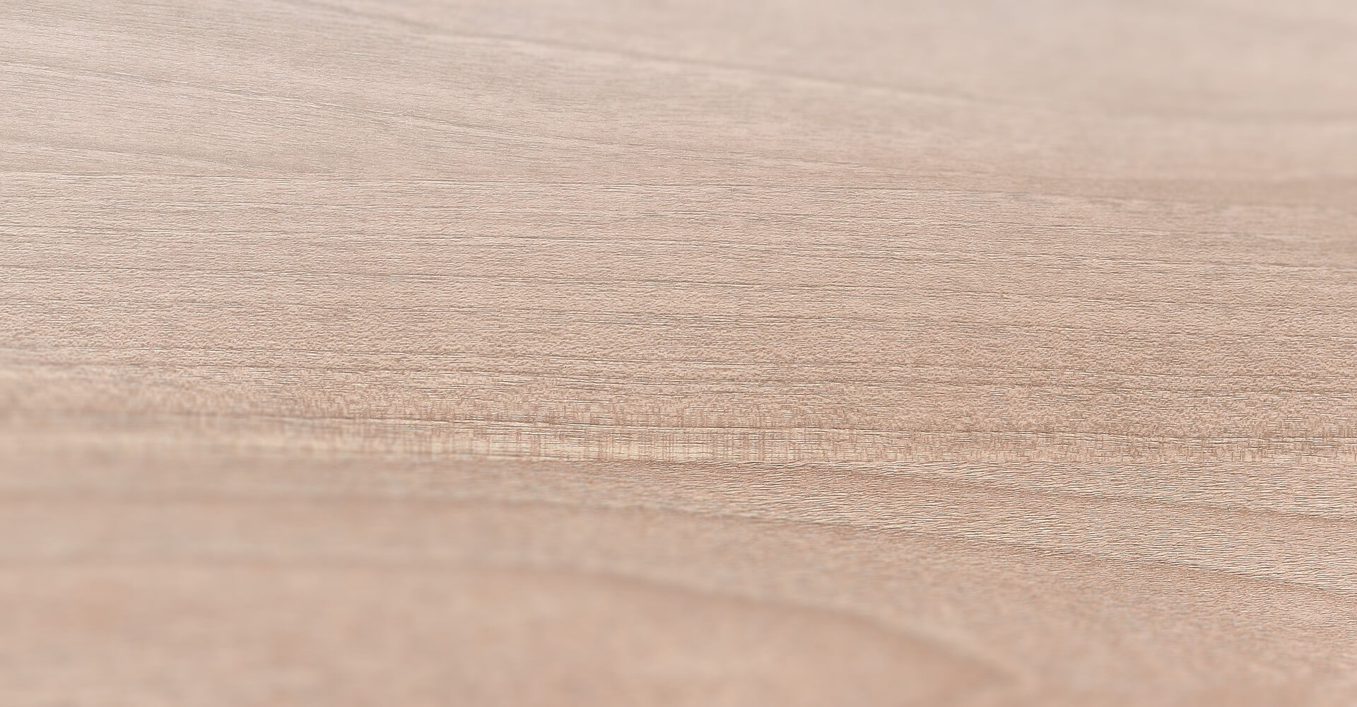 びわシーズンに向けて