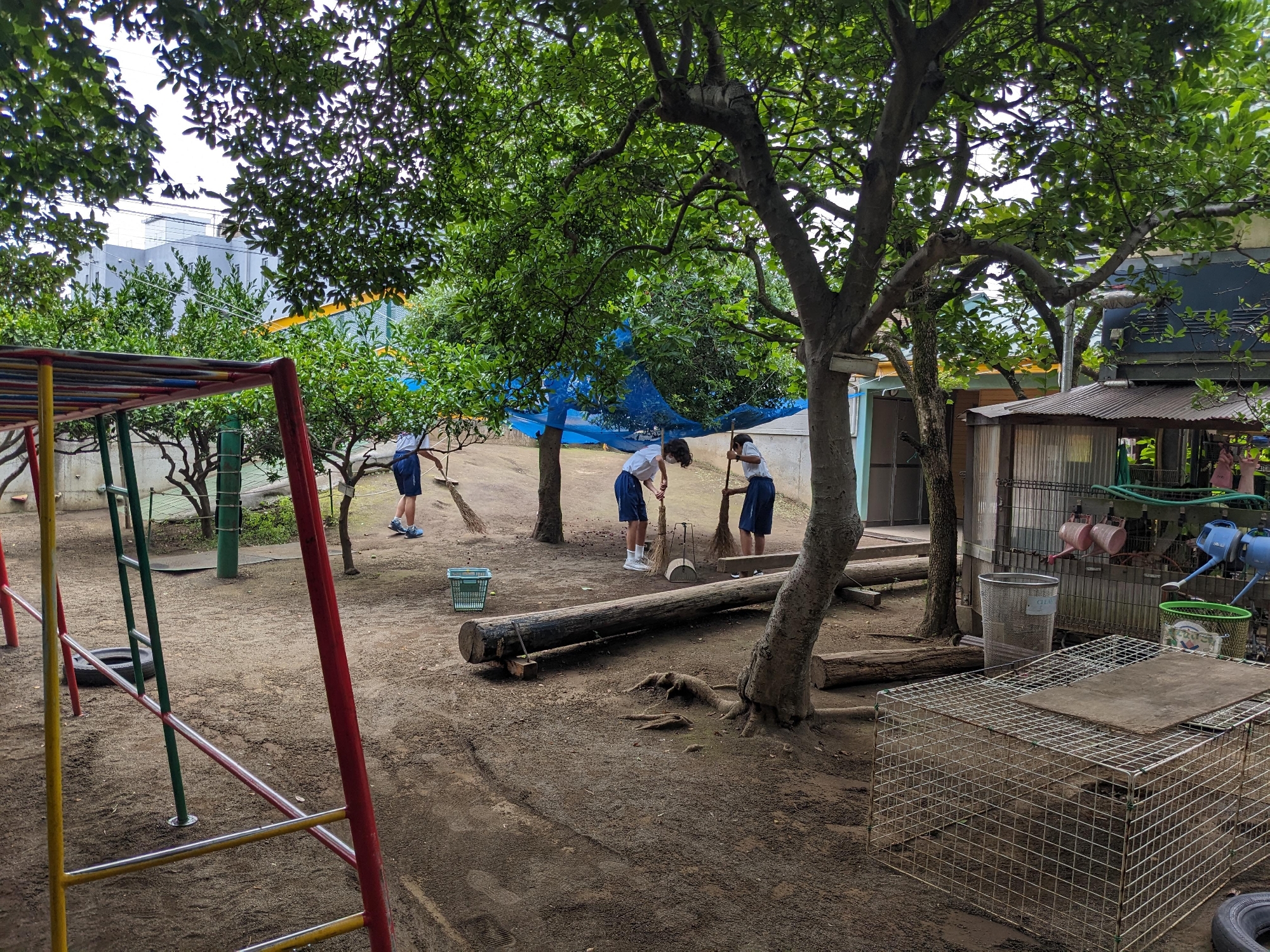 中学生の職場体験