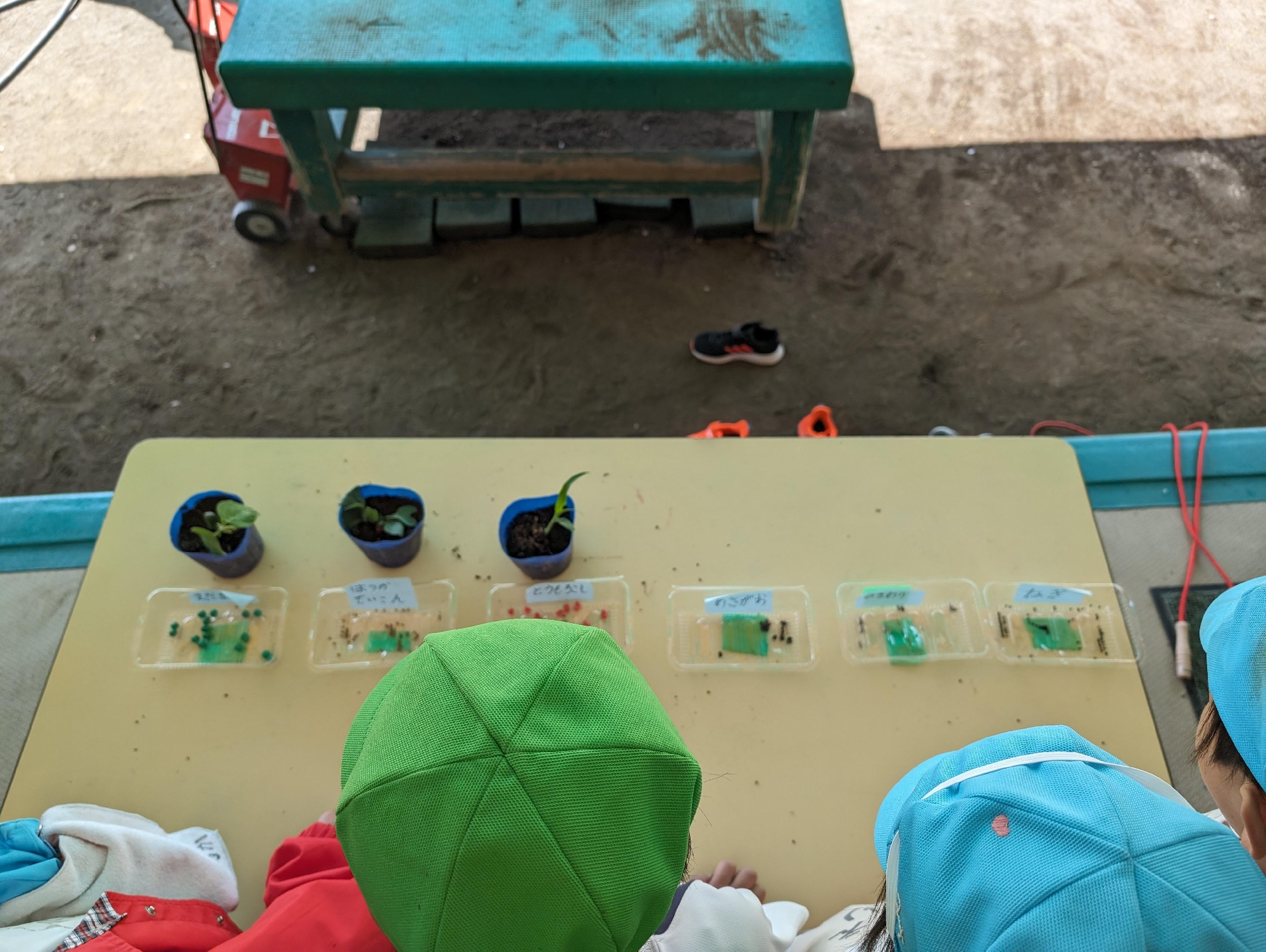 農業体験開始！